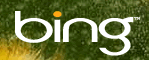 [Bing Logo]